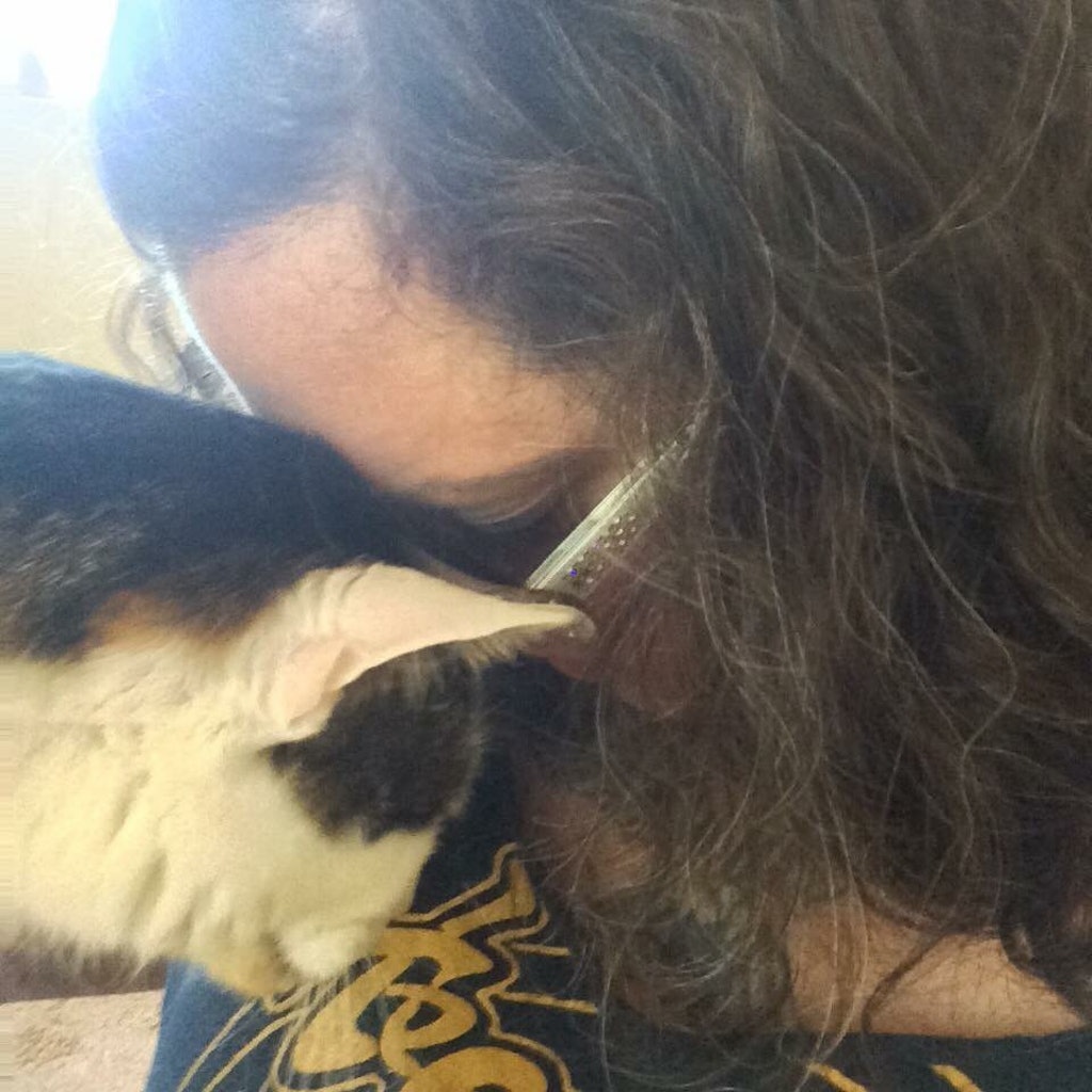 Christi rubbing heads with a tabby cat